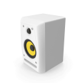 Studio Monitor Speaker