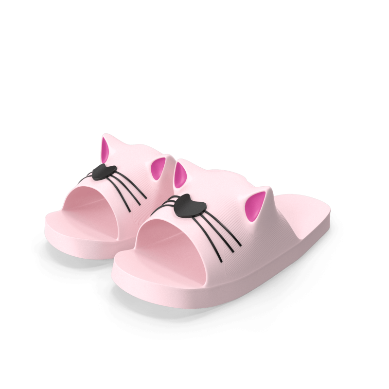 Cat Slippers