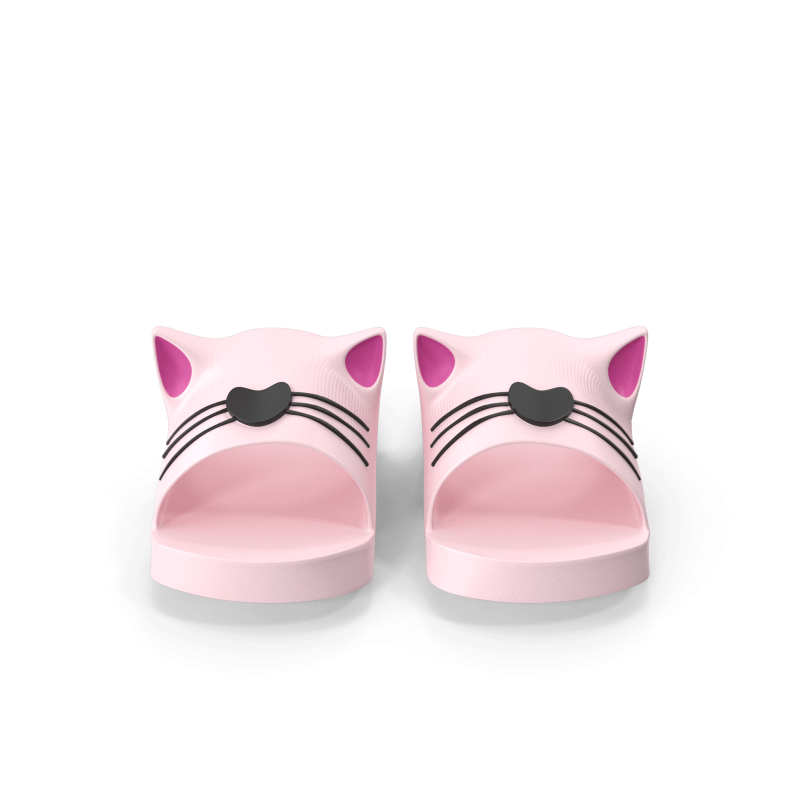 Cat Slippers