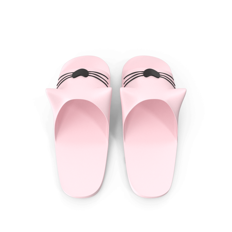 Cat Slippers