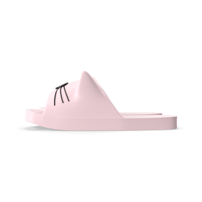 Cat Slippers