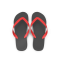 Flip Flops