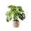 Indoor Plant 03