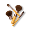 Makeup Brush