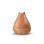 Oils Diffuser
