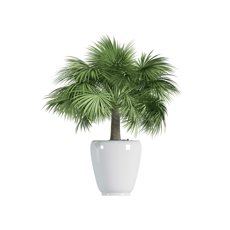 Plant Decor 02