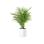 Plant Decor 03