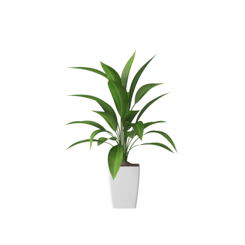 Plant Decor 04