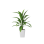 Plant Decor 04