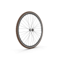 Bike Wheel