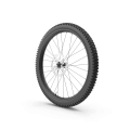 Mountain Bike Wheel 01