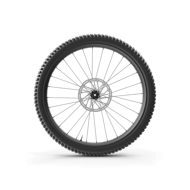 Mountain Bike Wheel 01
