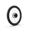 Rear Bike Wheel