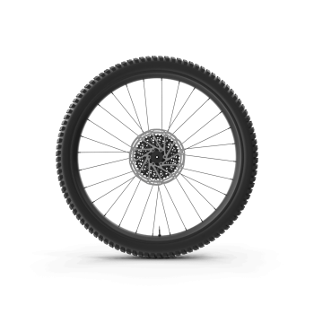 Rear Bike Wheel