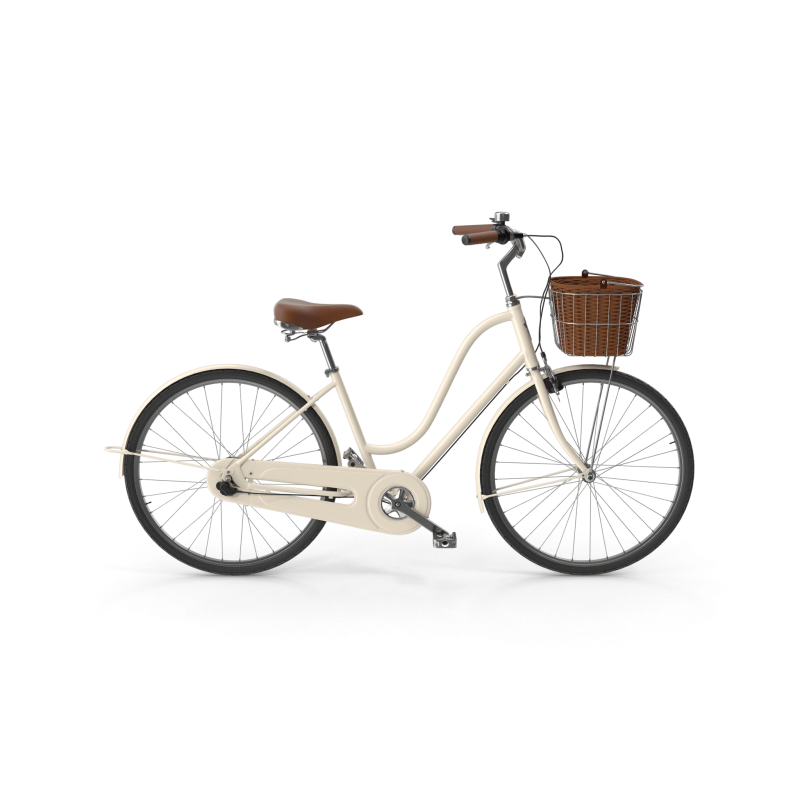 City Bike with Basket