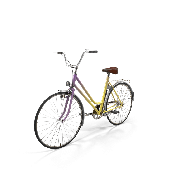 Rainbow Polyvalent Bike