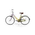 Rainbow Polyvalent Bike