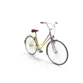Rainbow Polyvalent Bike