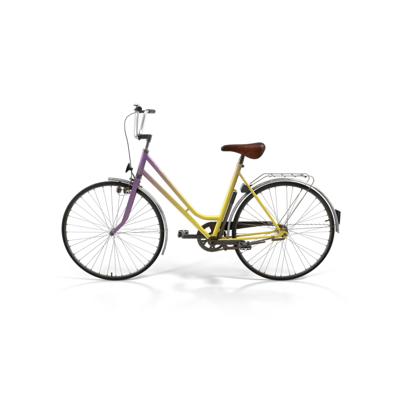 Rainbow Polyvalent Bike