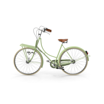 Classic Transport Bike