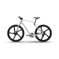 Electric Carbon Bike