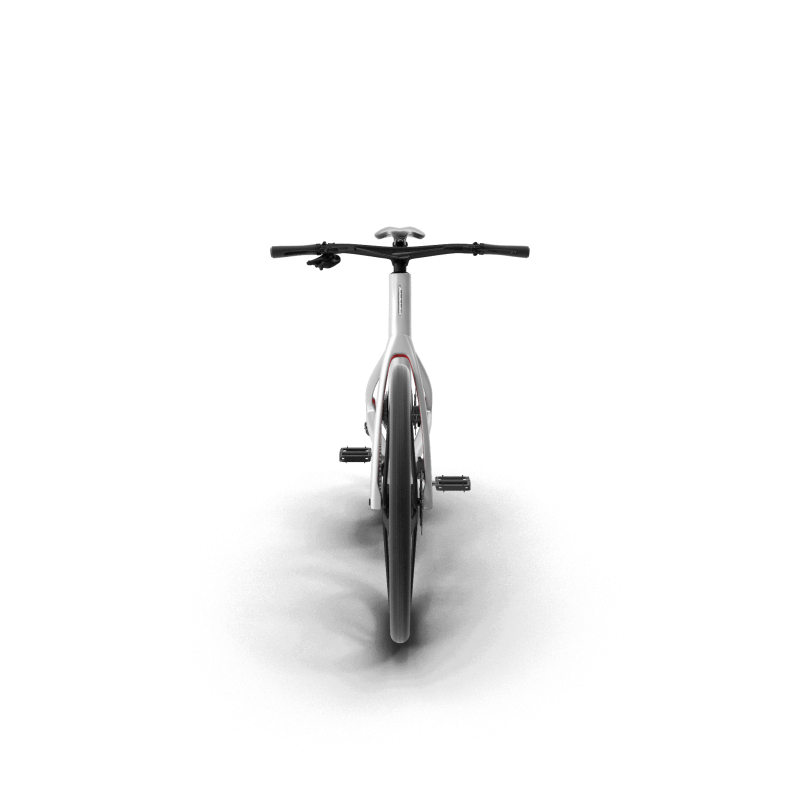 Electric Carbon Bike