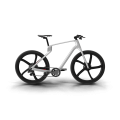 Electric Carbon Bike