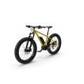 Electric Fat Bike