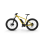 Electric Fat Bike