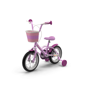 Girls Bike with Training Wheels