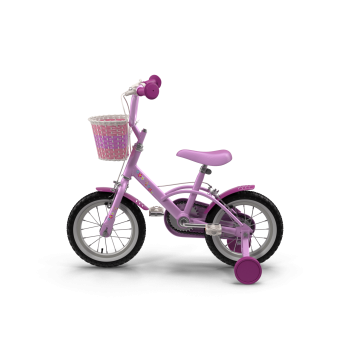 Girls Bike with Training Wheels