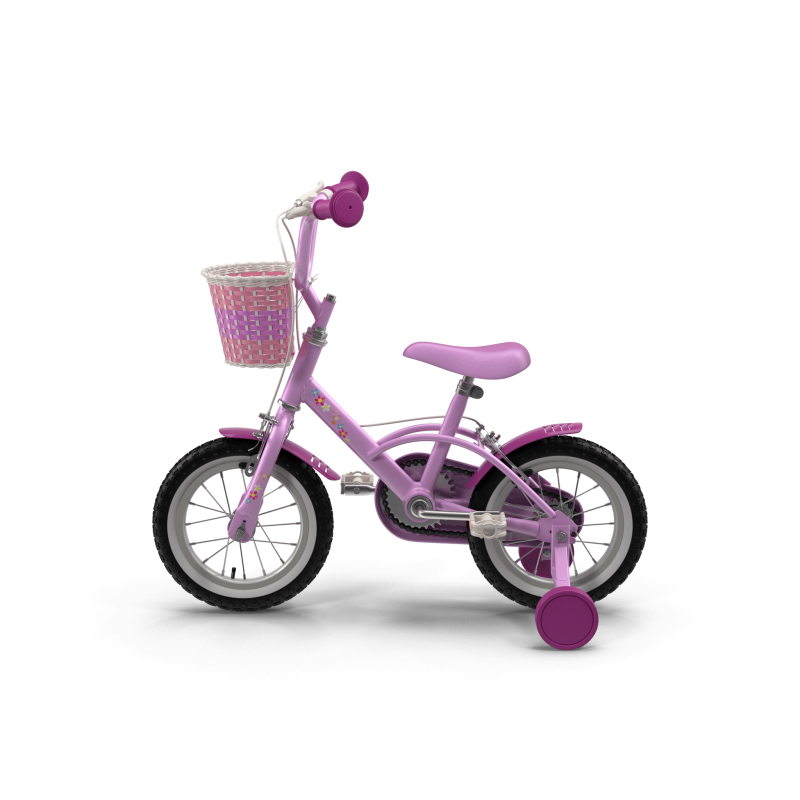 Girls Bike with Training Wheels