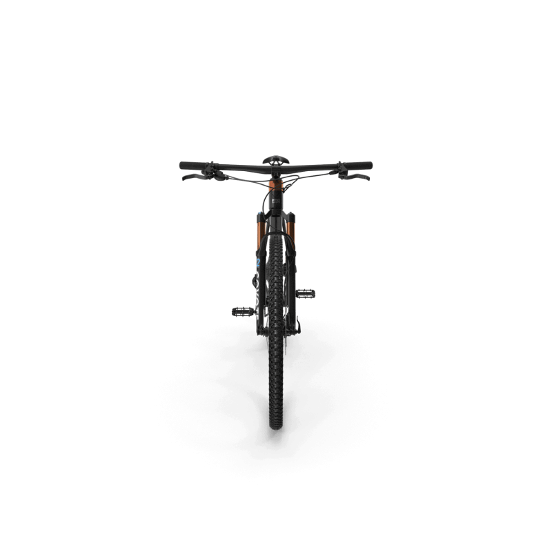 Mountain Bike for Men