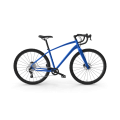 Blue Road Bike