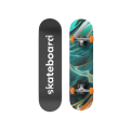 Skateboard 04